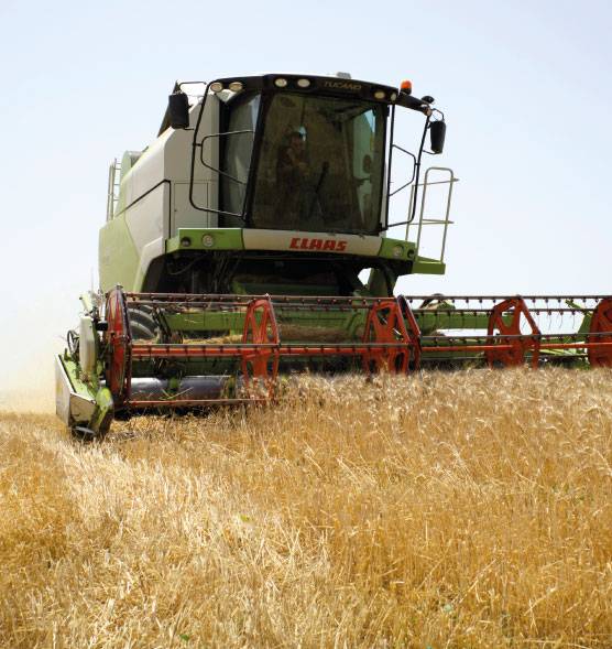 Filière des Pâtes biologiques de semoule de blé dur